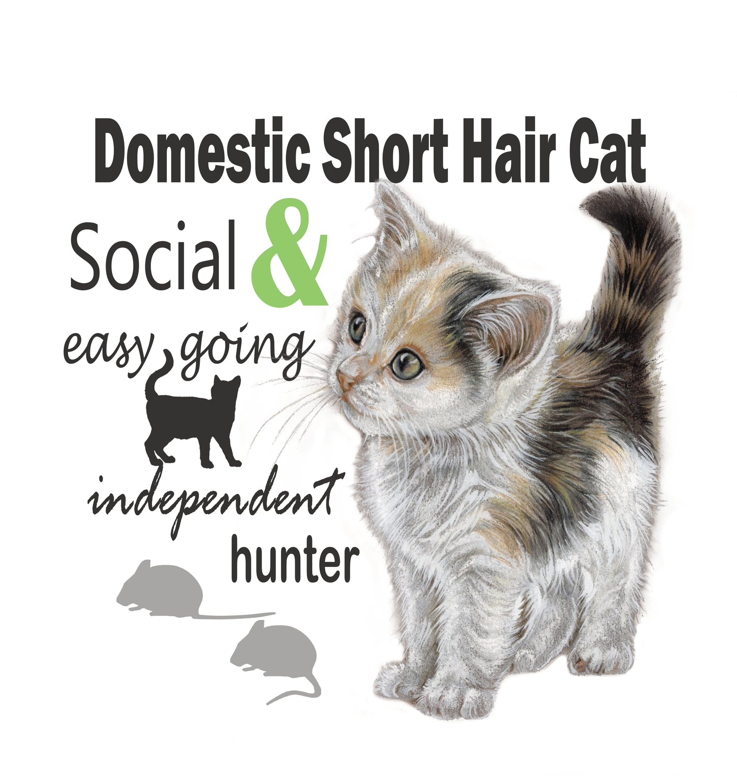 Katoenen winkelshopper met bedrukking - Domestic Shorthair Cat - Kortharige Kat