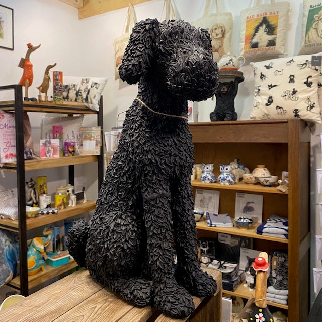 Bild eines Labradoodles – sitzend (große Größe)