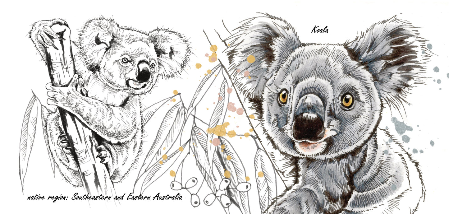 Tassenserie Wildtiere – Koala
