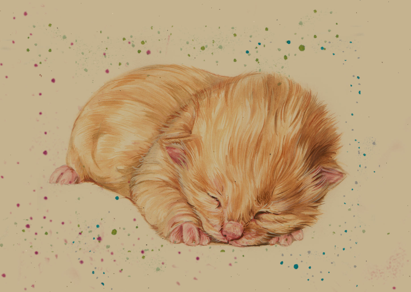 A6 kraft card (postcard) - card number 8 - Kitten red (pack of 5)