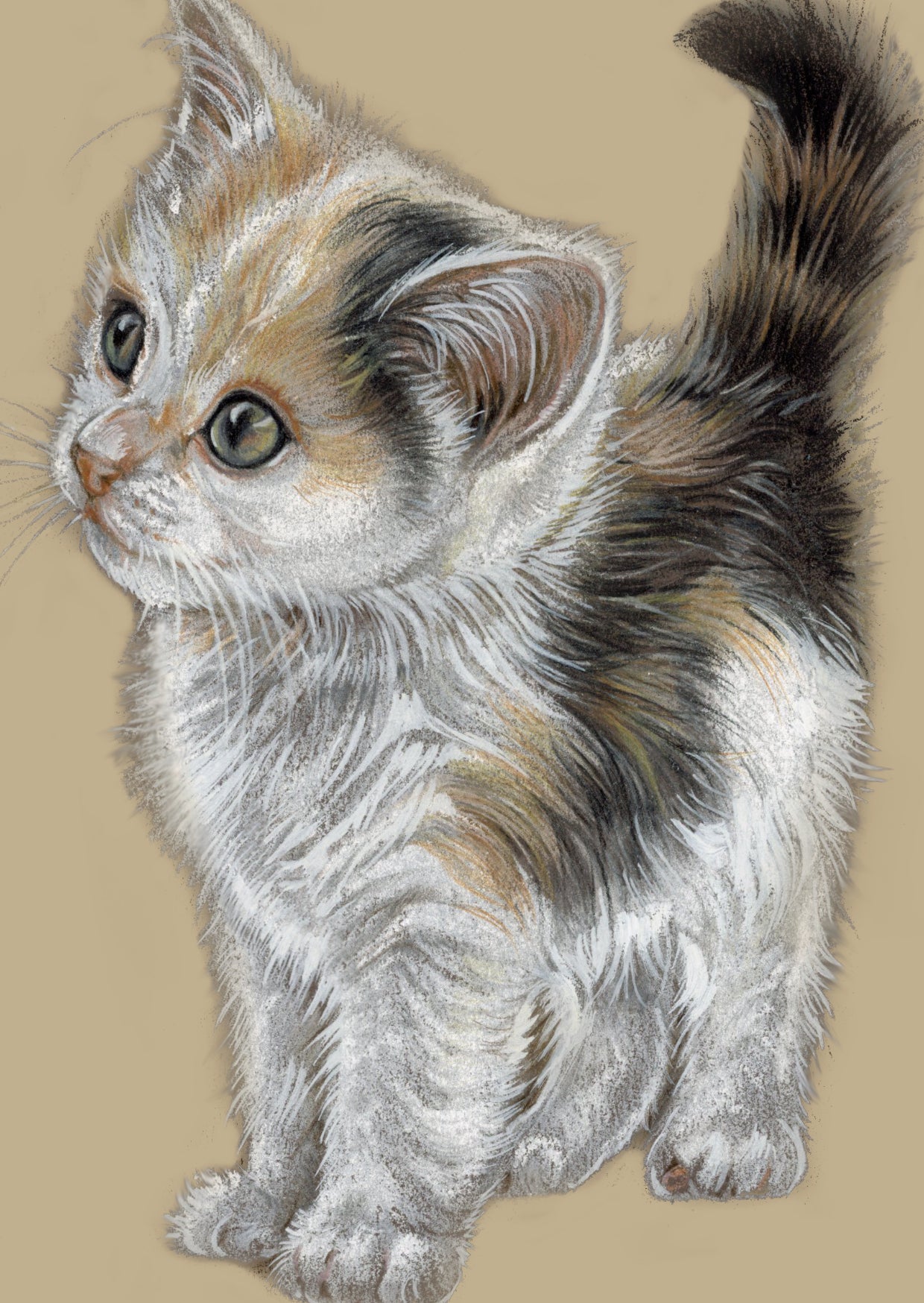 A6 kraft card (postcard) - card number 11 - Kitten (pack of 5)