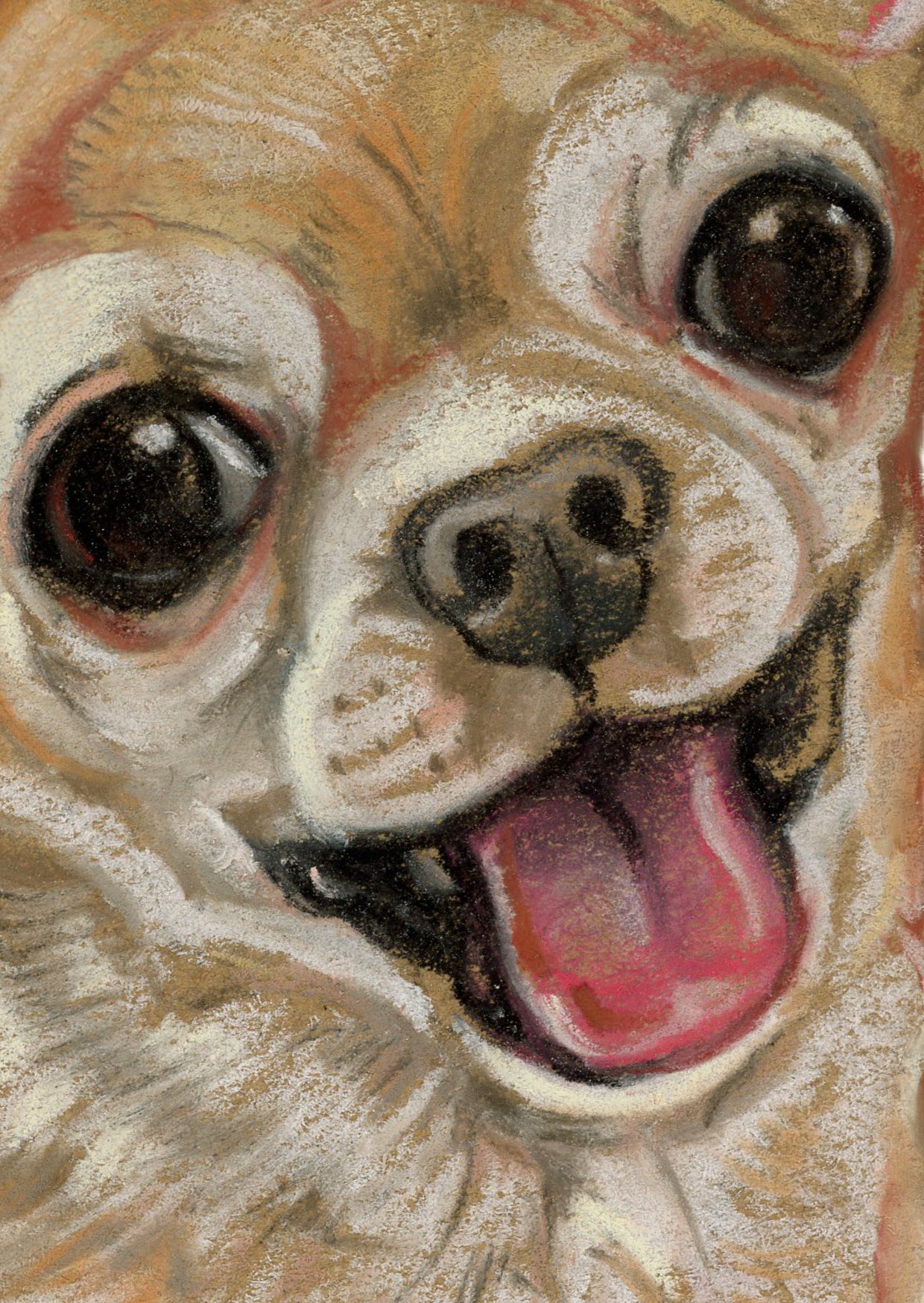 Kraftpapierkarte im A6-Format (Postkarte) - Kartennummer 17 - Chihuahua (5er-Packung)