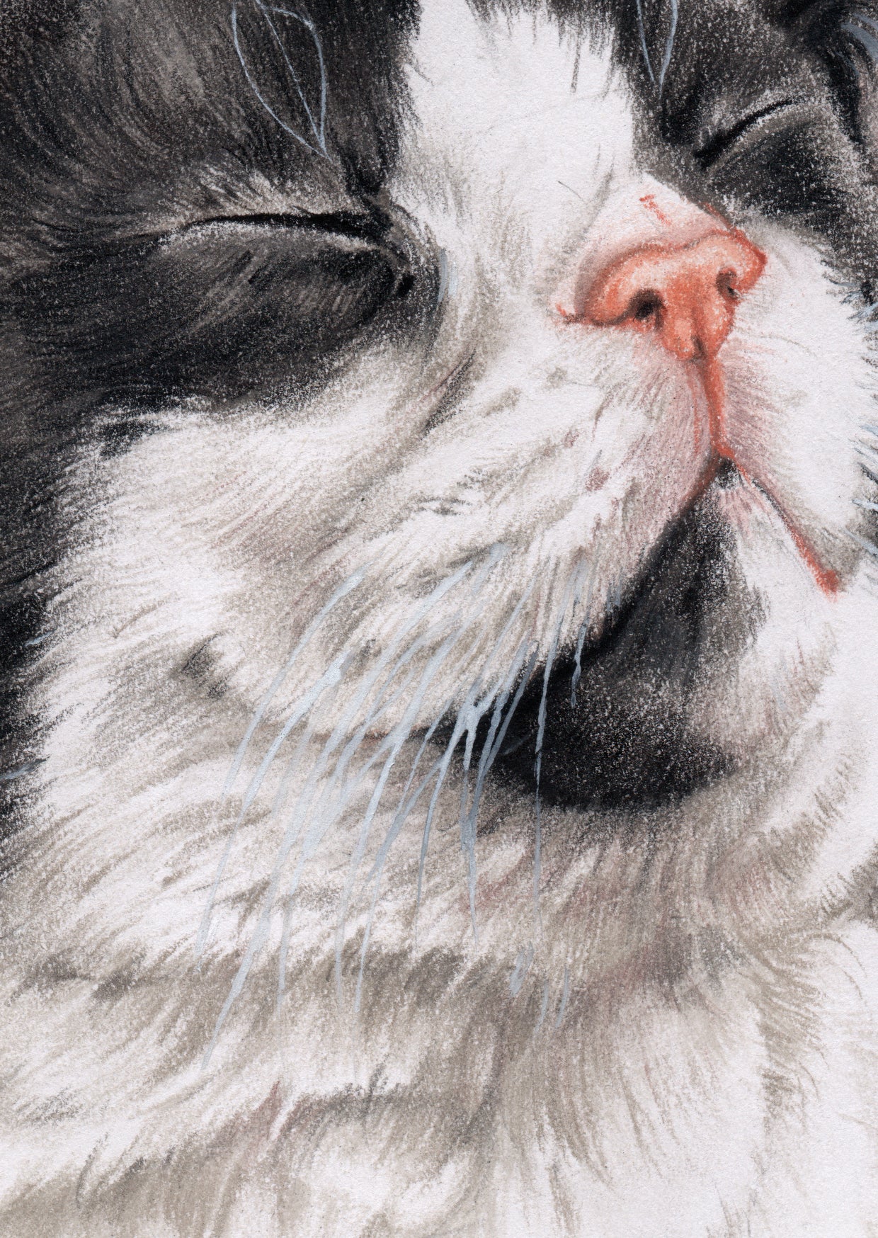 A6-sized kraft card (postcard) - card number 23 - Black and White Kitten (pack of 5)