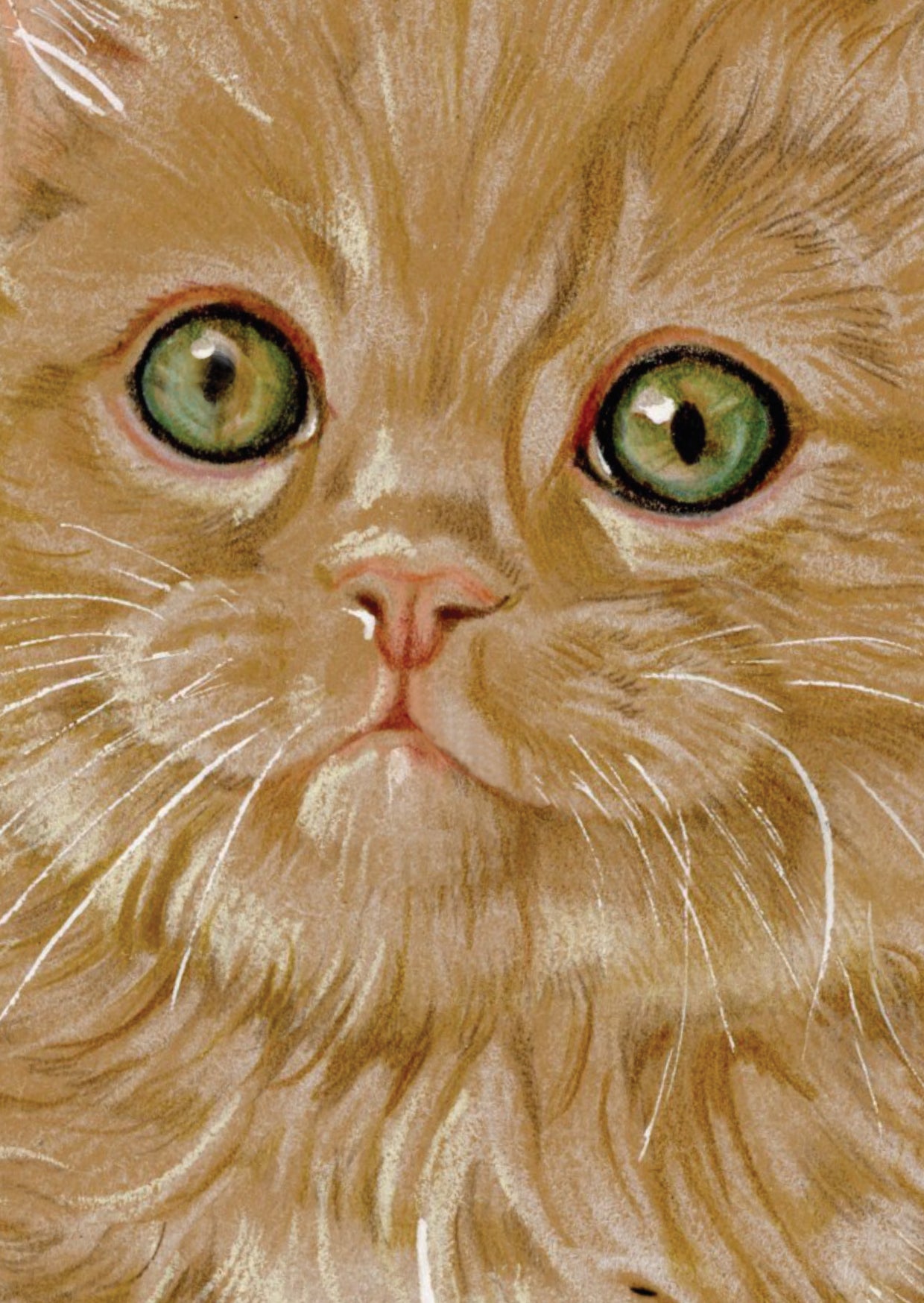 A6 Kraftpapierkarte (Postkarte) - Kartennummer 24 - Rote Katze / (5er-Packung)