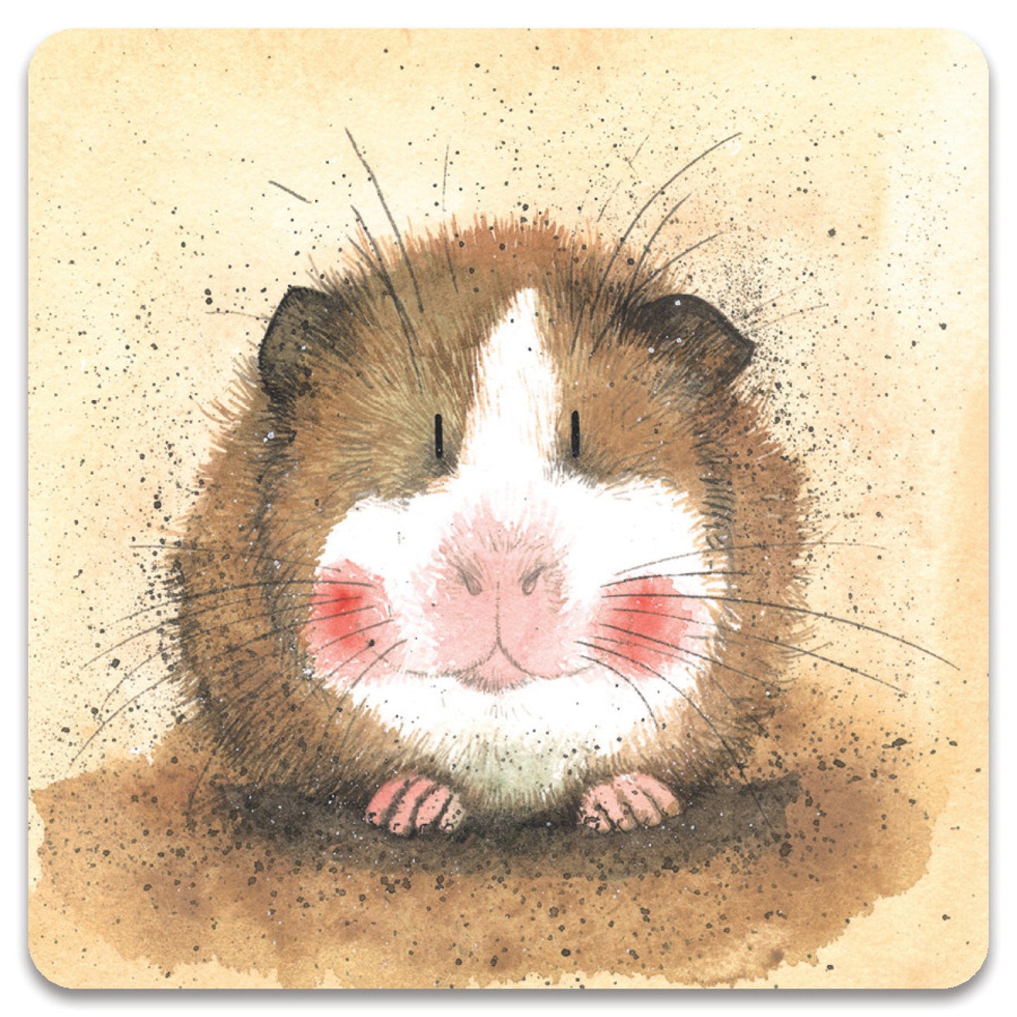 Alex Clark – Kühlschrankmagnet – Meerschweinchen