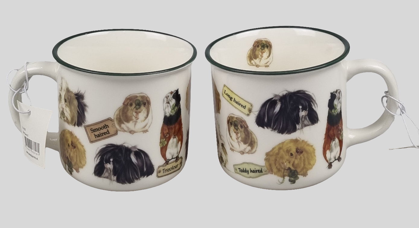 Mokken met collage - Cavia's - design 2