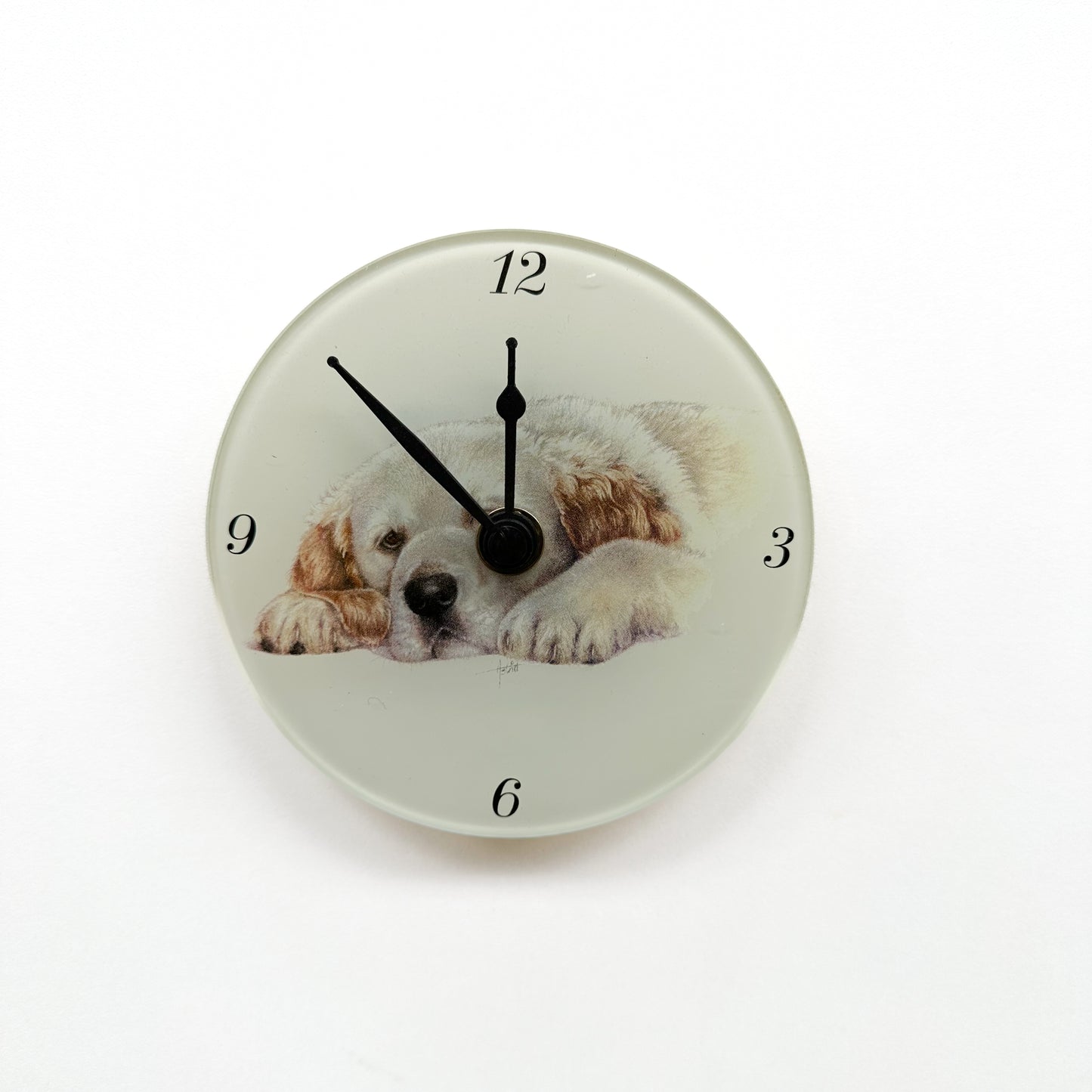 Klok Liggende Golden Retriever