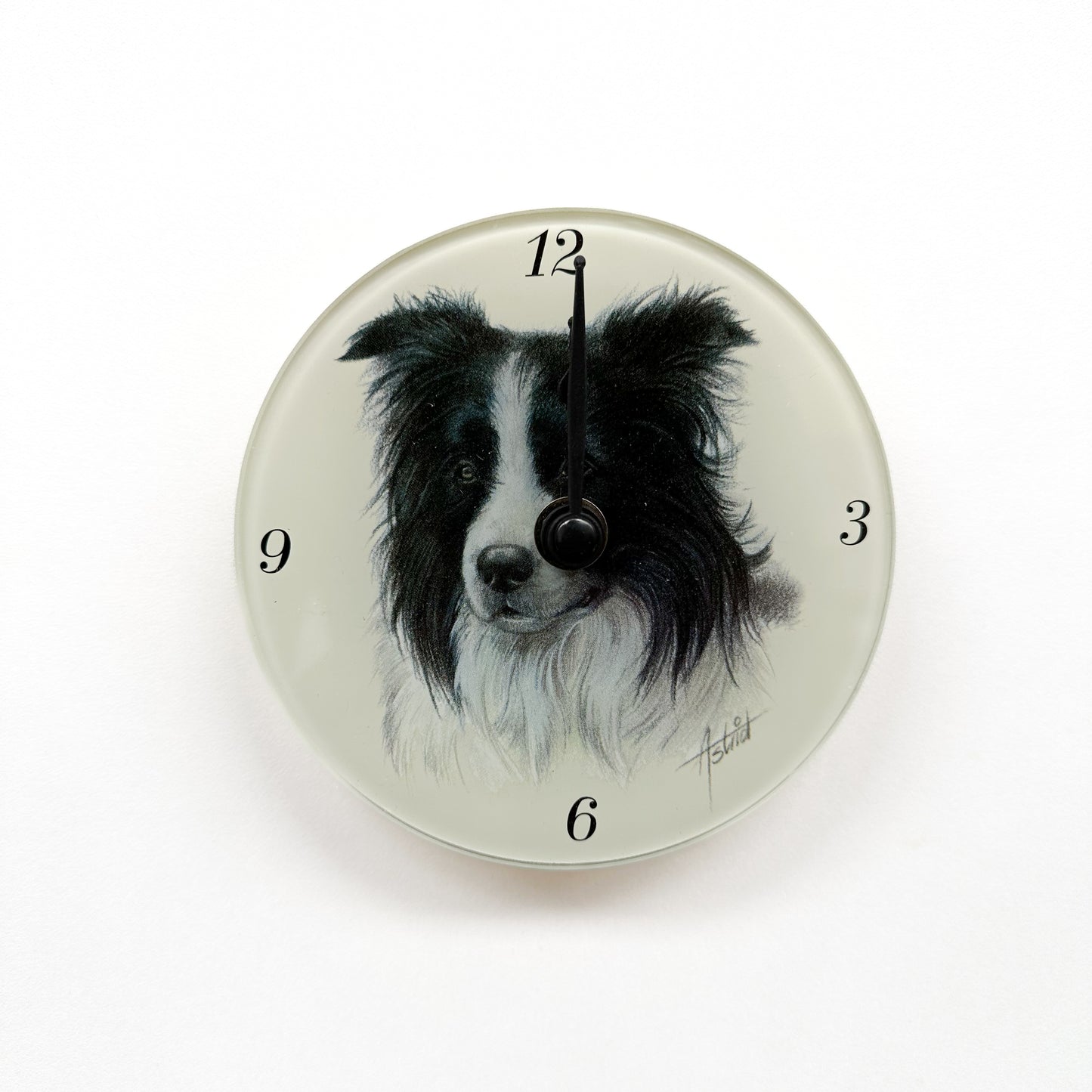 Klok Border Collie