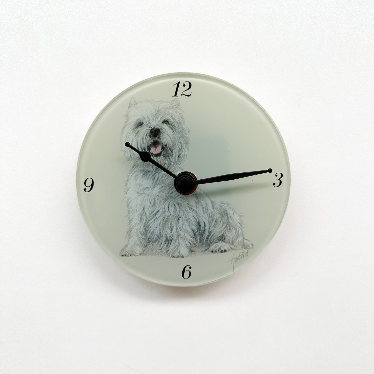 Klok West Highland White Terrier