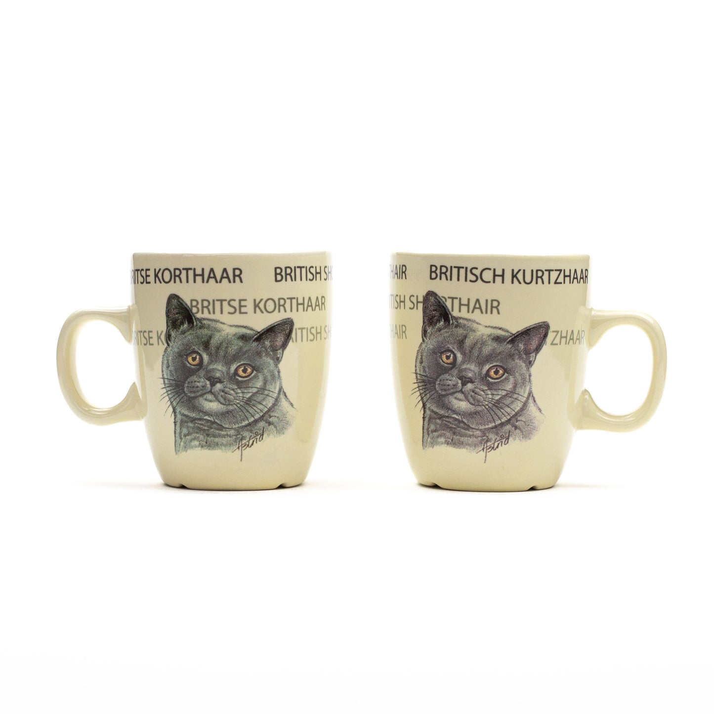 Tasse Britisch Kurzhaar Katze