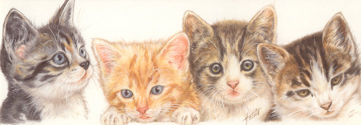 Smalle kaarten - Kattencollage 1