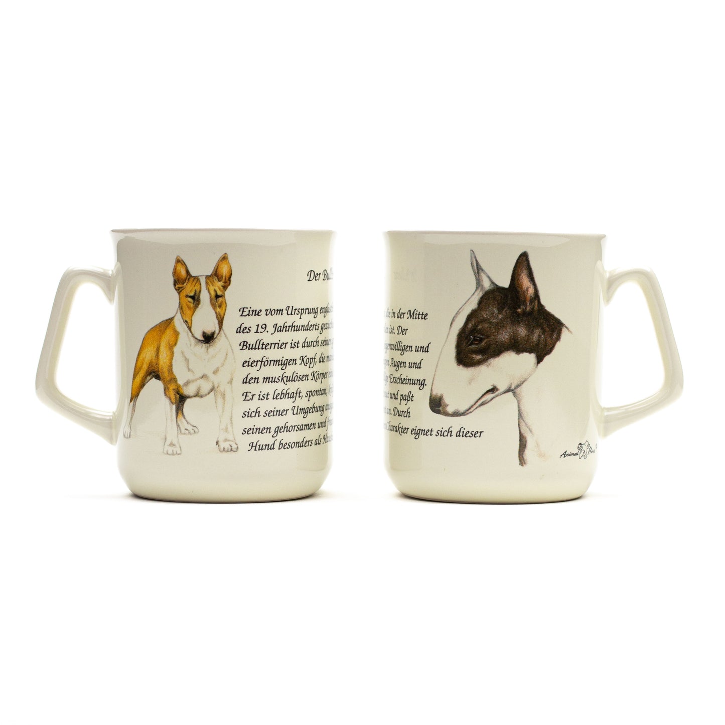 Mok Bull Terrier