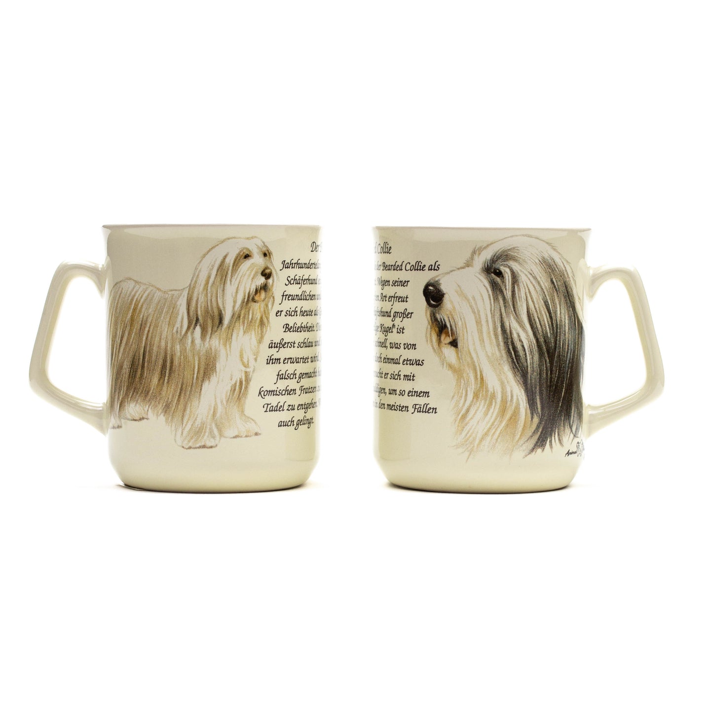 Mok Bearded Collie