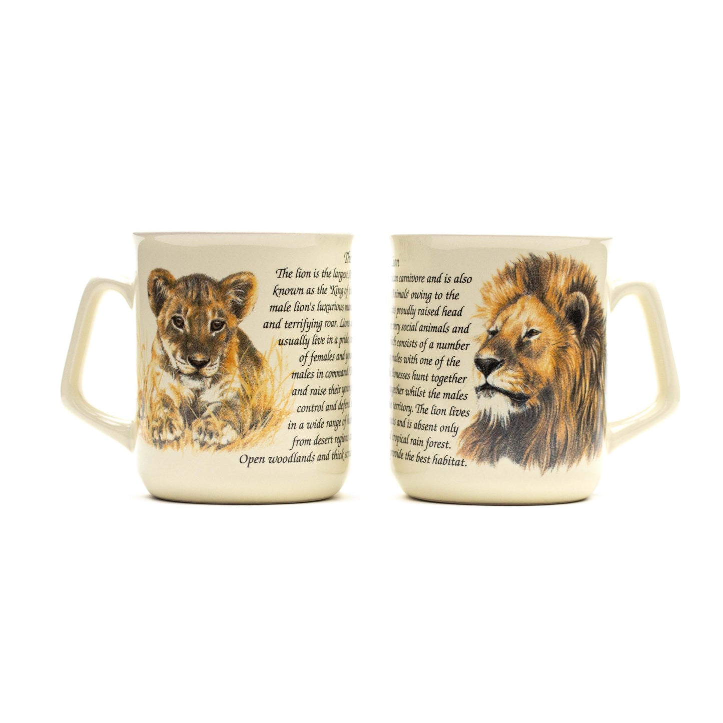 Mok Leeuwen