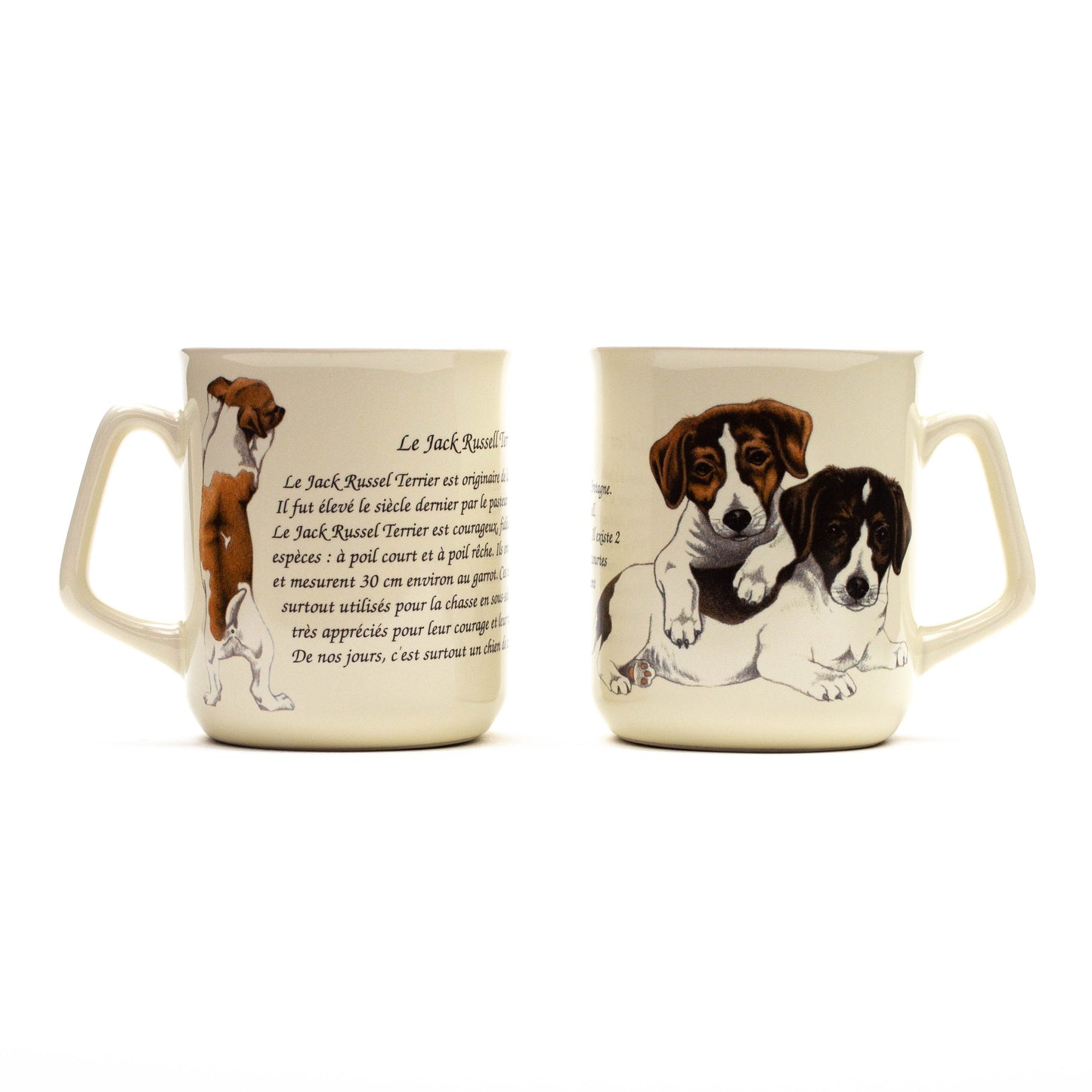 Mok Jack Russell Terrier