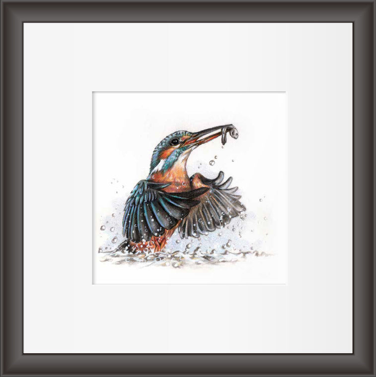 Reproduktion "Eisvogel"