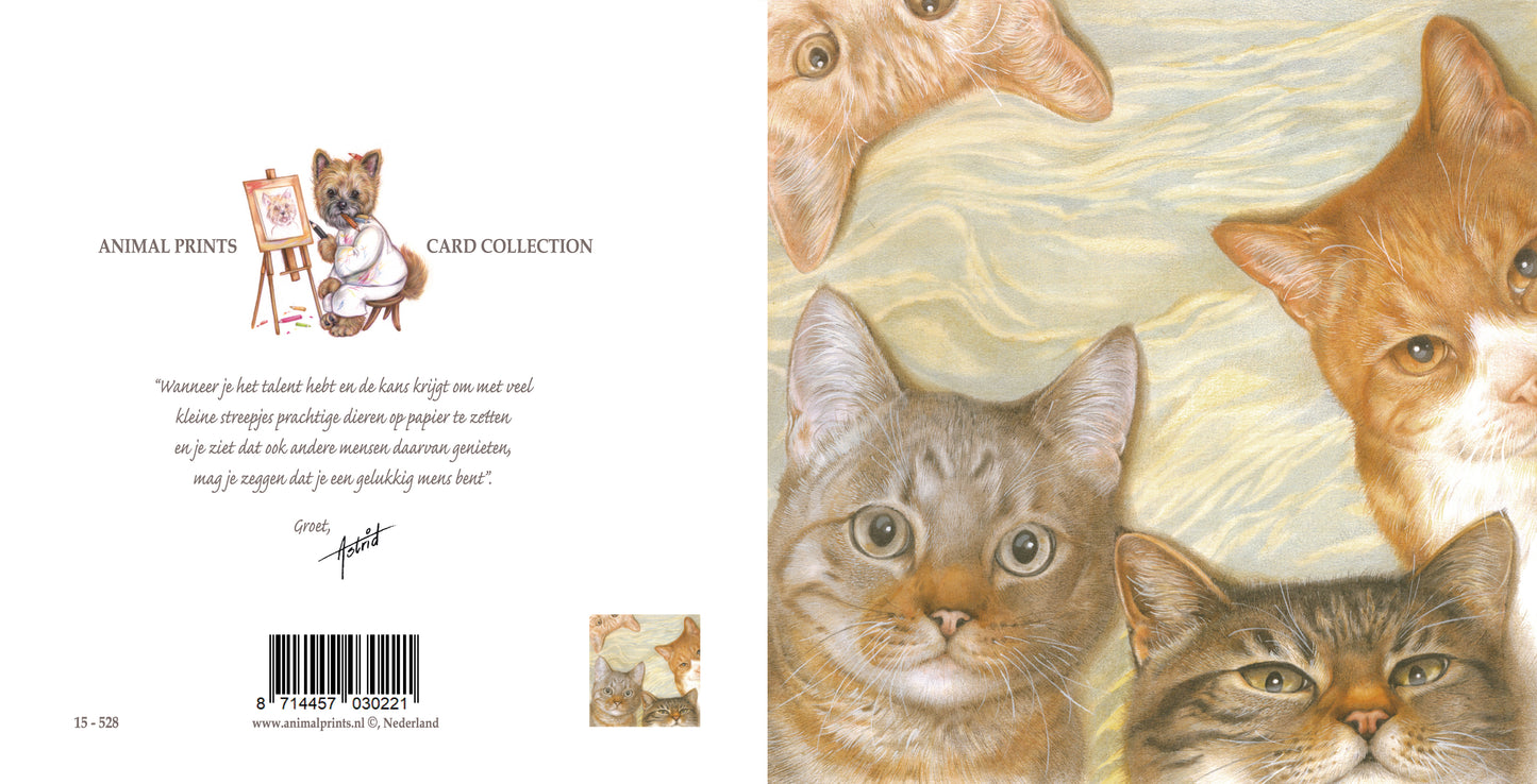Quadratische Karte – Katzencollage (Katzenmotiv)