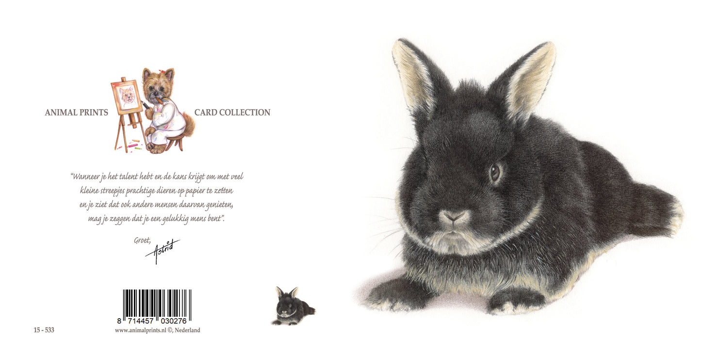 Square card - Bunnies are also very welcome