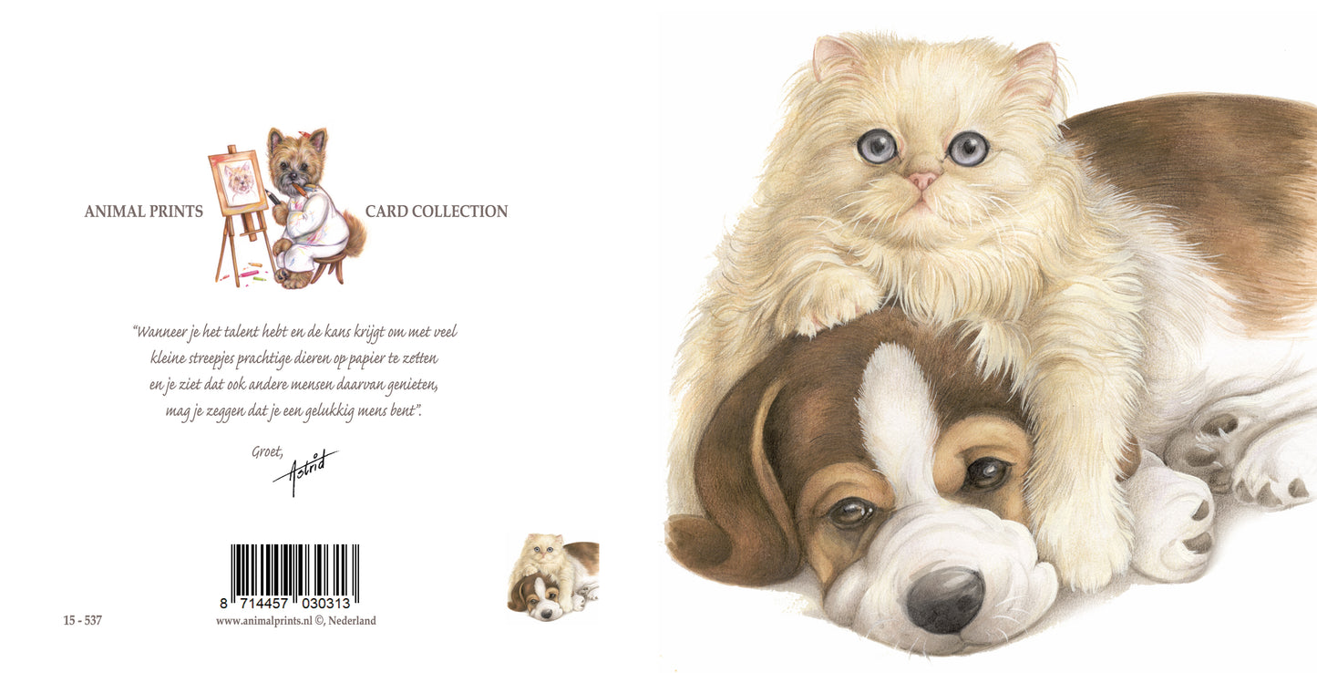 Square card - True love, true friendship... (Persian cat and Beagle)