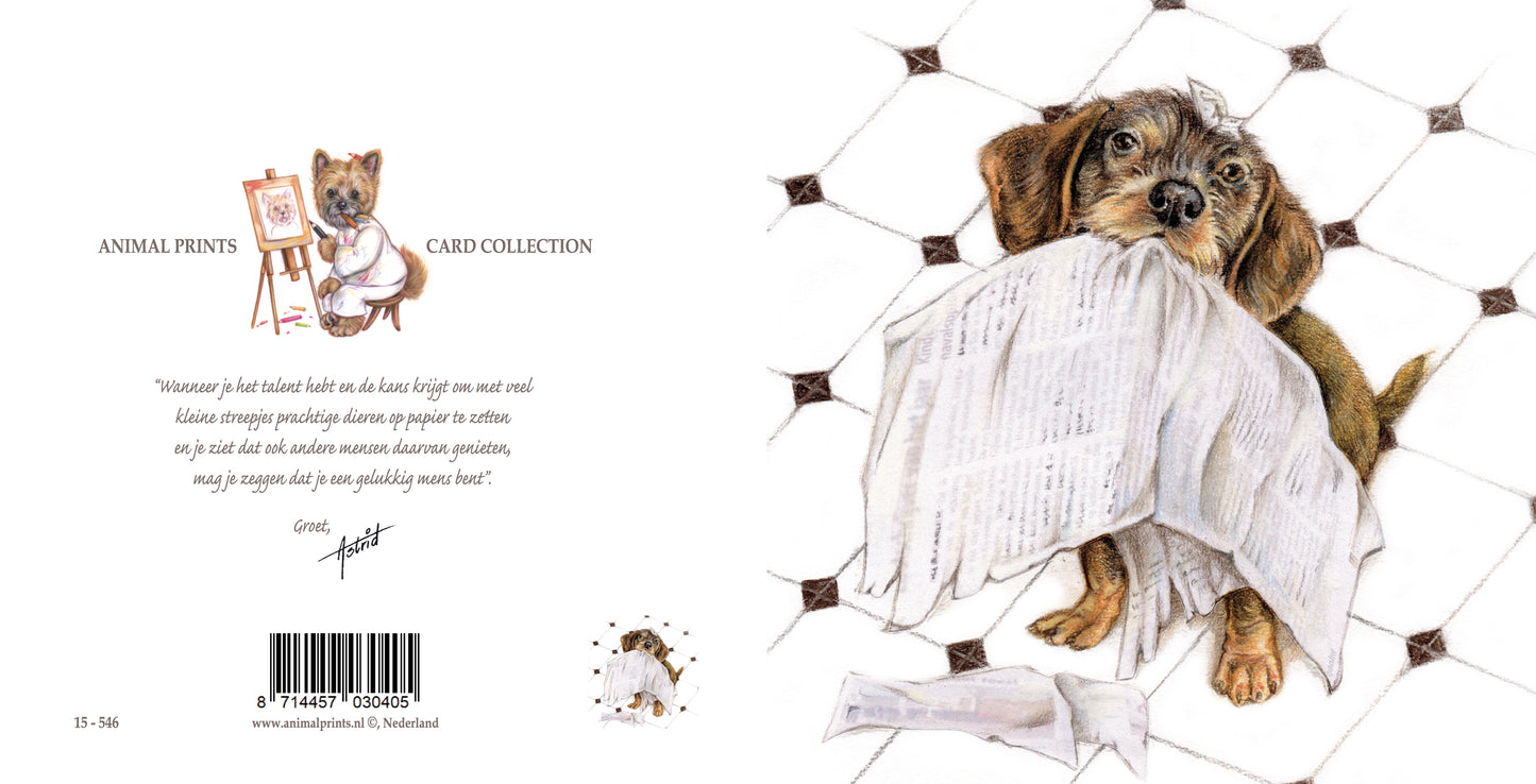 Square card - Always up to date with all the news (Dachshund)