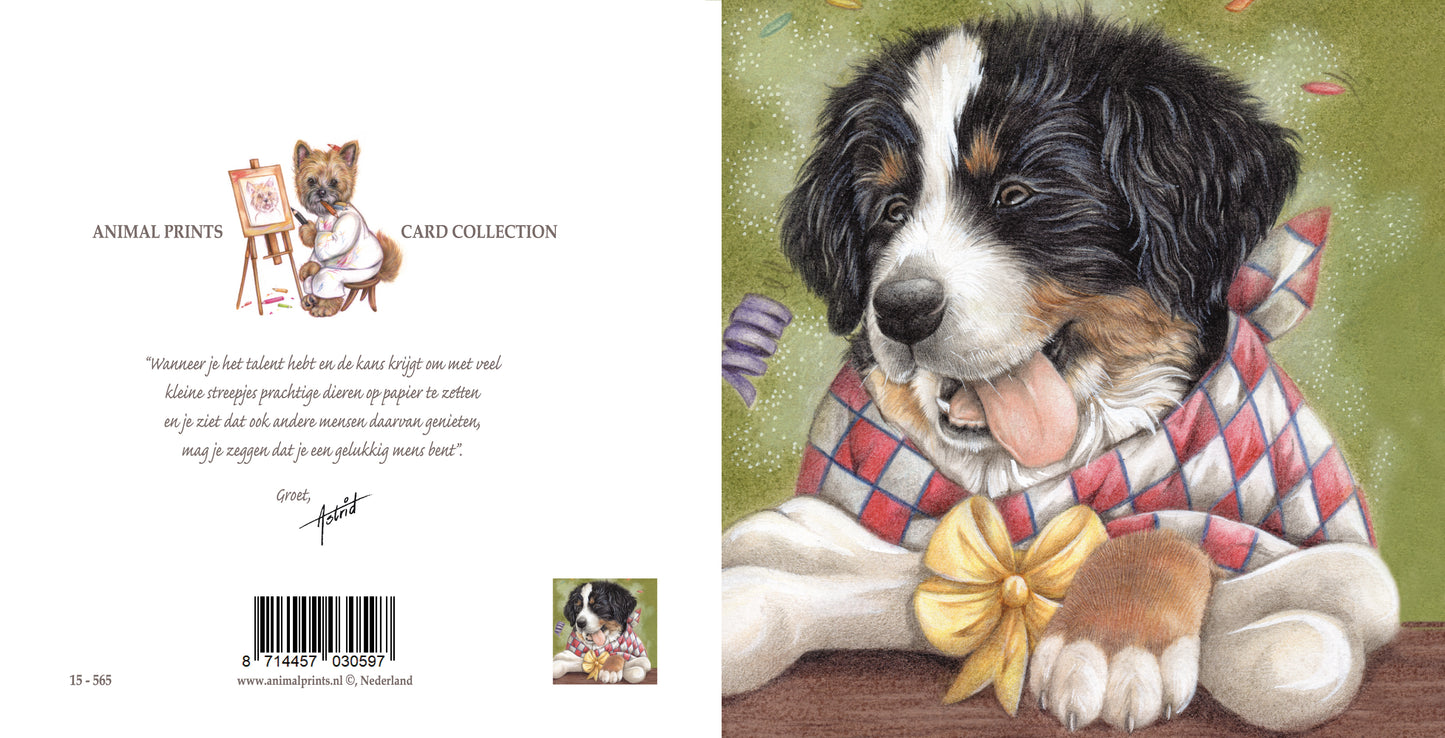 Quadratische Karte – Das nenne ich mal ein schönes Geschenk (Berner Sennenhund)