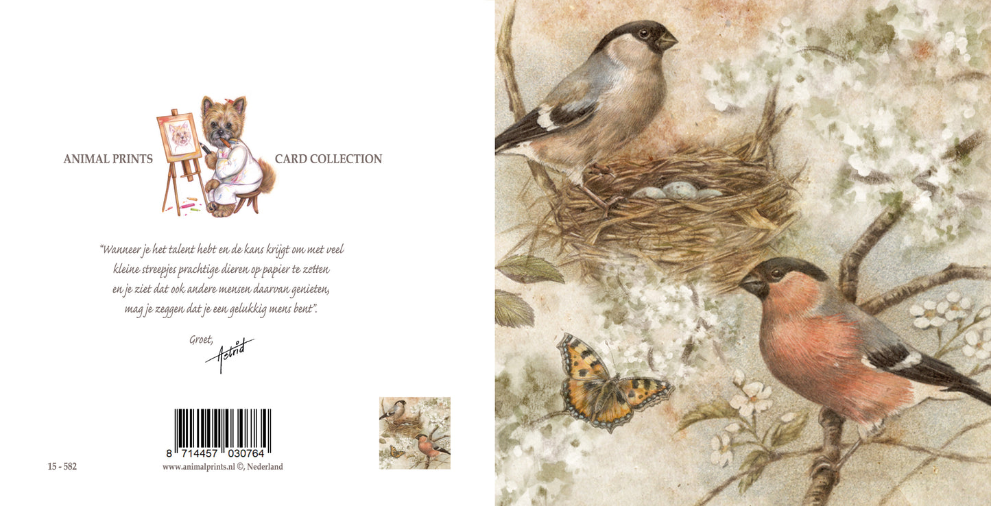 Quadratische Karte – Eine wunderschöne Zeichnung aus der Vogelperspektive (Vögel)