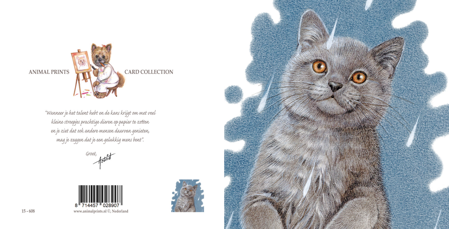 Vierkante kaart - It's Raining Cat's - Brits Korthaar