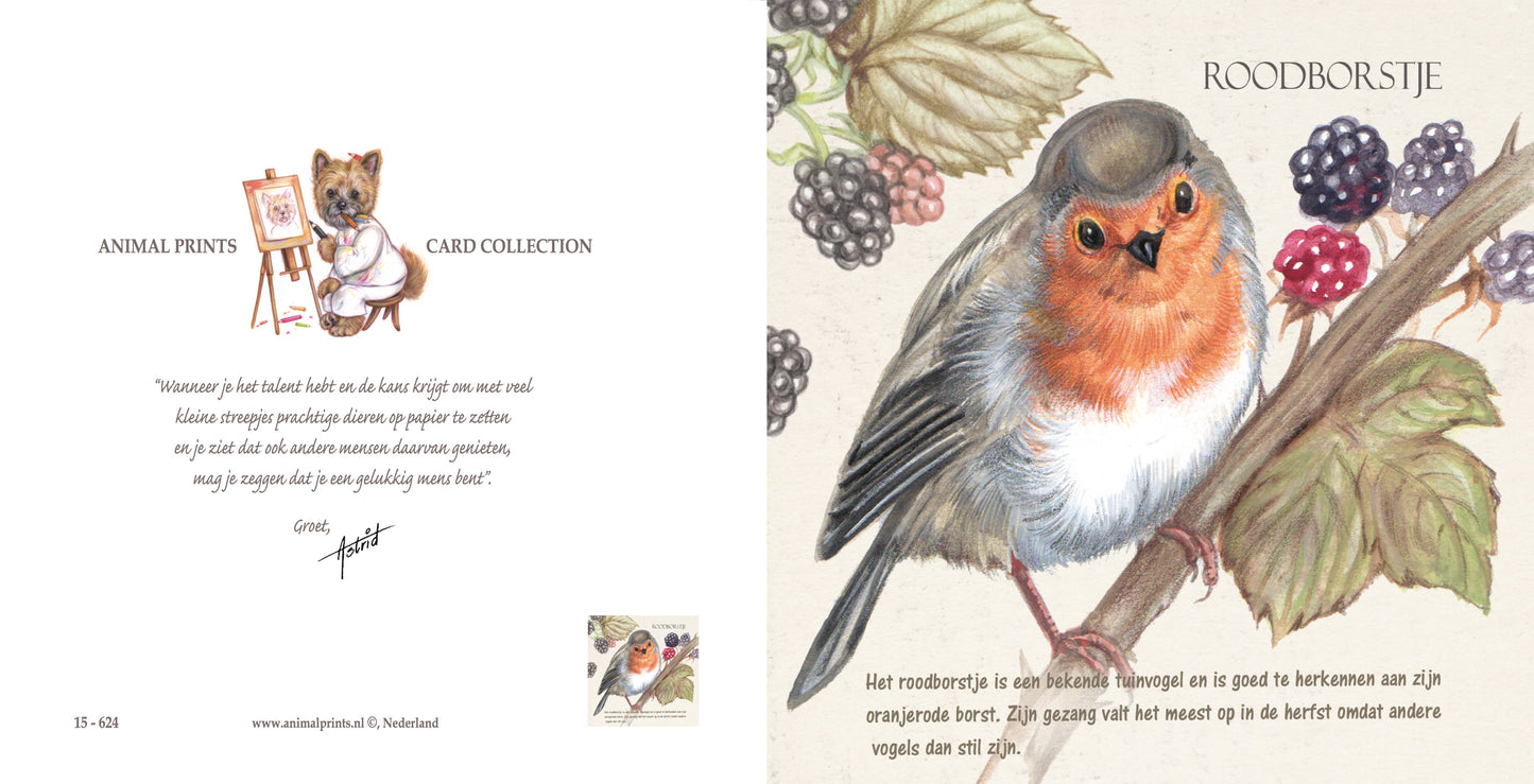 Quadratische Karte – Rotkehlchen (Vogelmotiv)