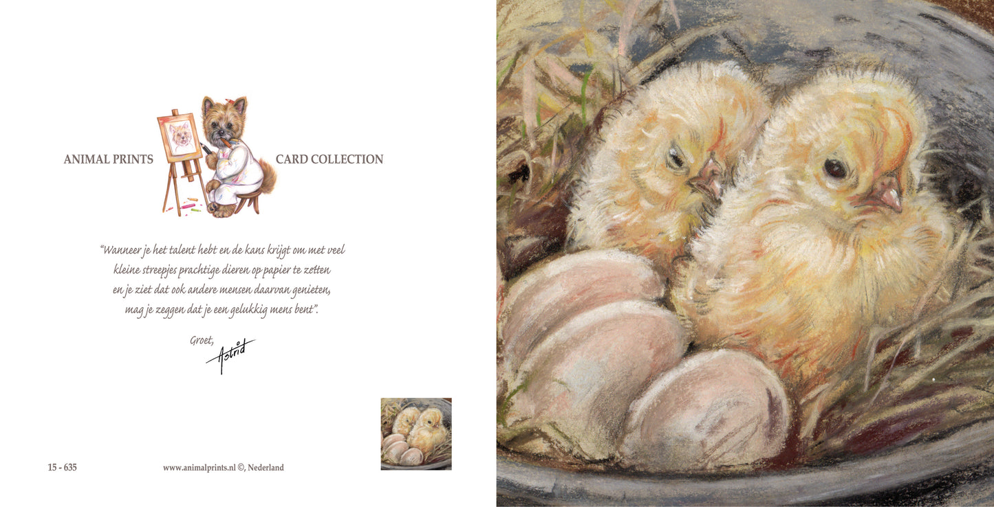 Square card - 2 chicks present, 3 more to go... (Chicken print)