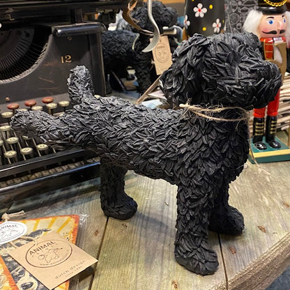 Bild eines Labradoodles beim Urinieren