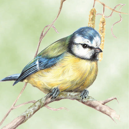 Set van 4 onderzetters - Vogelserie 2