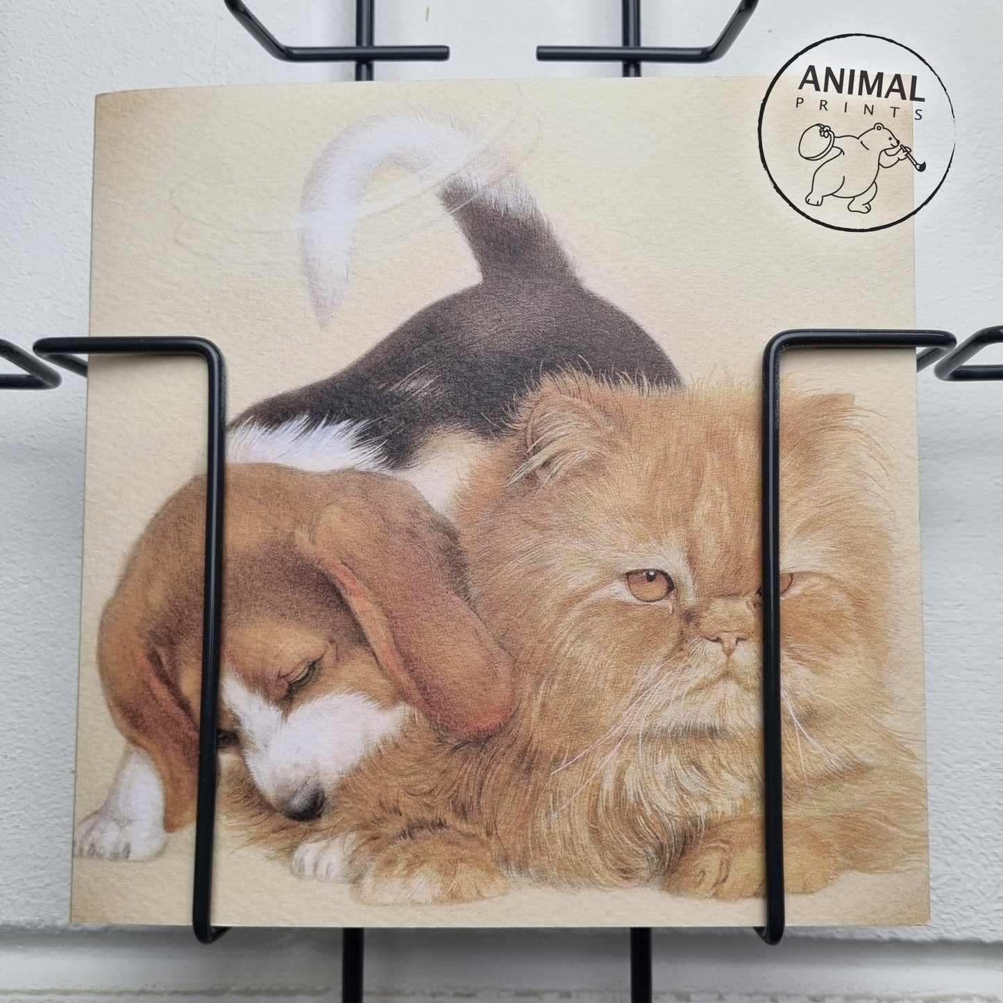 Quadratische Karte - Beagle umwirbt Perser