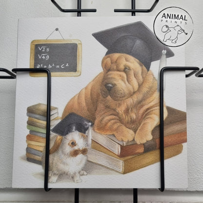 Square-Karte – Bestanden, Studium vorerst beendet… (Sharpei)
