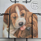Square card - Friendship, Beagle with Sharpei