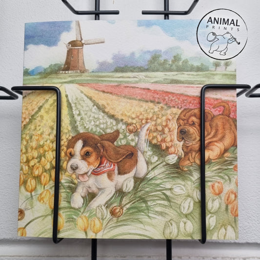 Vierkante kaart - Hollands Tafereeltje, even lekker rennen... (Beagle en Sharpei)