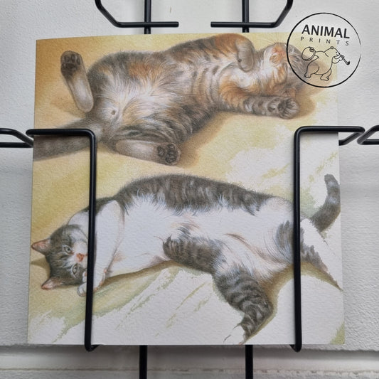 Square card - Just lazing around, nothing to be ashamed of. (cat print)