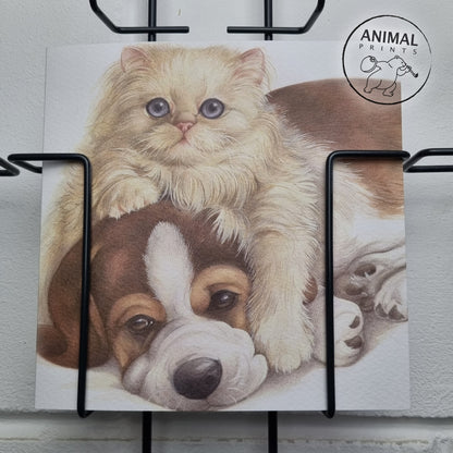 Quadratische Karte – Wahre Liebe, wahre Freundschaft… (Perserkatze und Beagle)