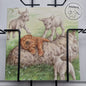 Vierkante kaart - Ligt echt heerlijk zo'n schapenwollen vachtje. (hond, sharpei, schapen)