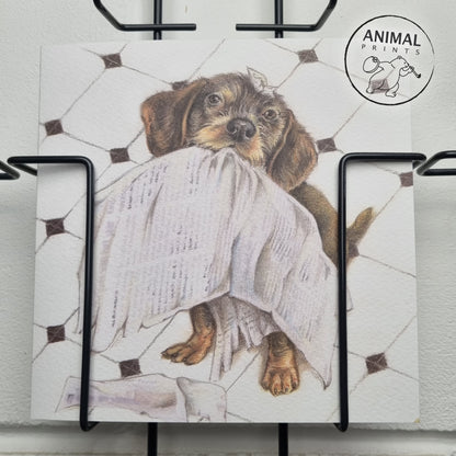 Square card - Always up to date with all the news (Dachshund)