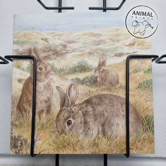 Square card - Mealtime for the Rabbit family