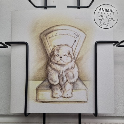 Square card - Waiting room emotion; weighty matters for the dog (humor, comic)