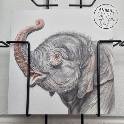 Quadratische Karte - Elefant; "Hast du mich nicht kommen gehört"?