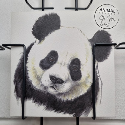Square Card - Look, you can talk to this Panda (Panda Bear)