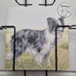 Quadratische Karte - Ein wunderschöner Border Collie, blue Merle