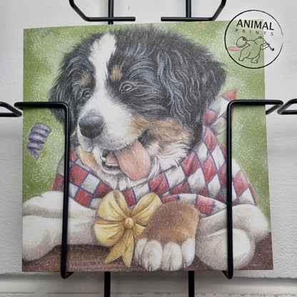 Quadratische Karte – Das nenne ich mal ein schönes Geschenk (Berner Sennenhund)