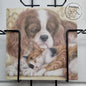 Quadratische Karte – Wer wünscht sich nicht so ein schönes, warmes Kissen (Cavalier King Charles Terrier, Katzenmotiv)?
