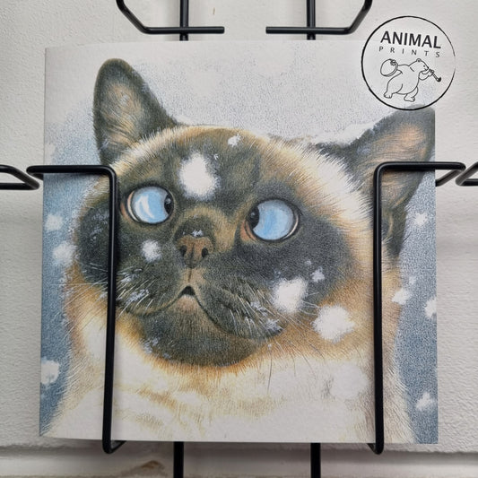 Square card - Snowflakes always make me cross my eyes a little... (cat print)