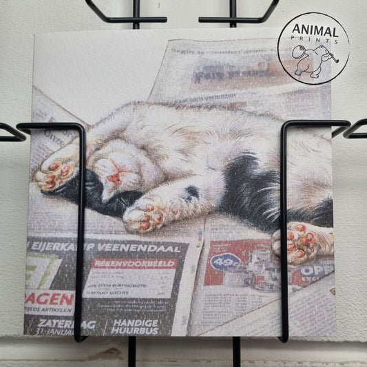 Square card - Fall asleep a little after all that boring news. (cat print)