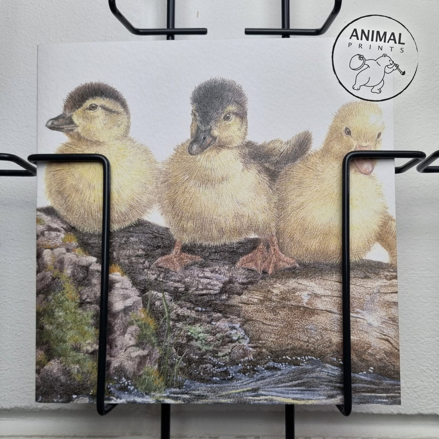 Square card - The Three Musketeers in Consultation (Ducks)