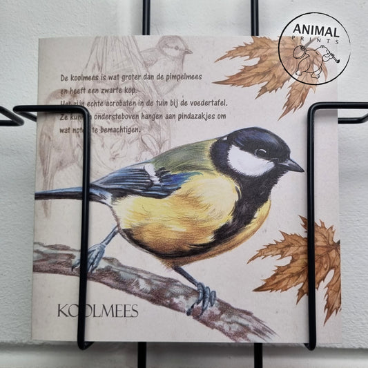 Square card - Great Tit (Birds)